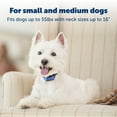 PetSafe Little Dog Deluxe Spray Bark Control Collar for Dogs 8 to 55lbs