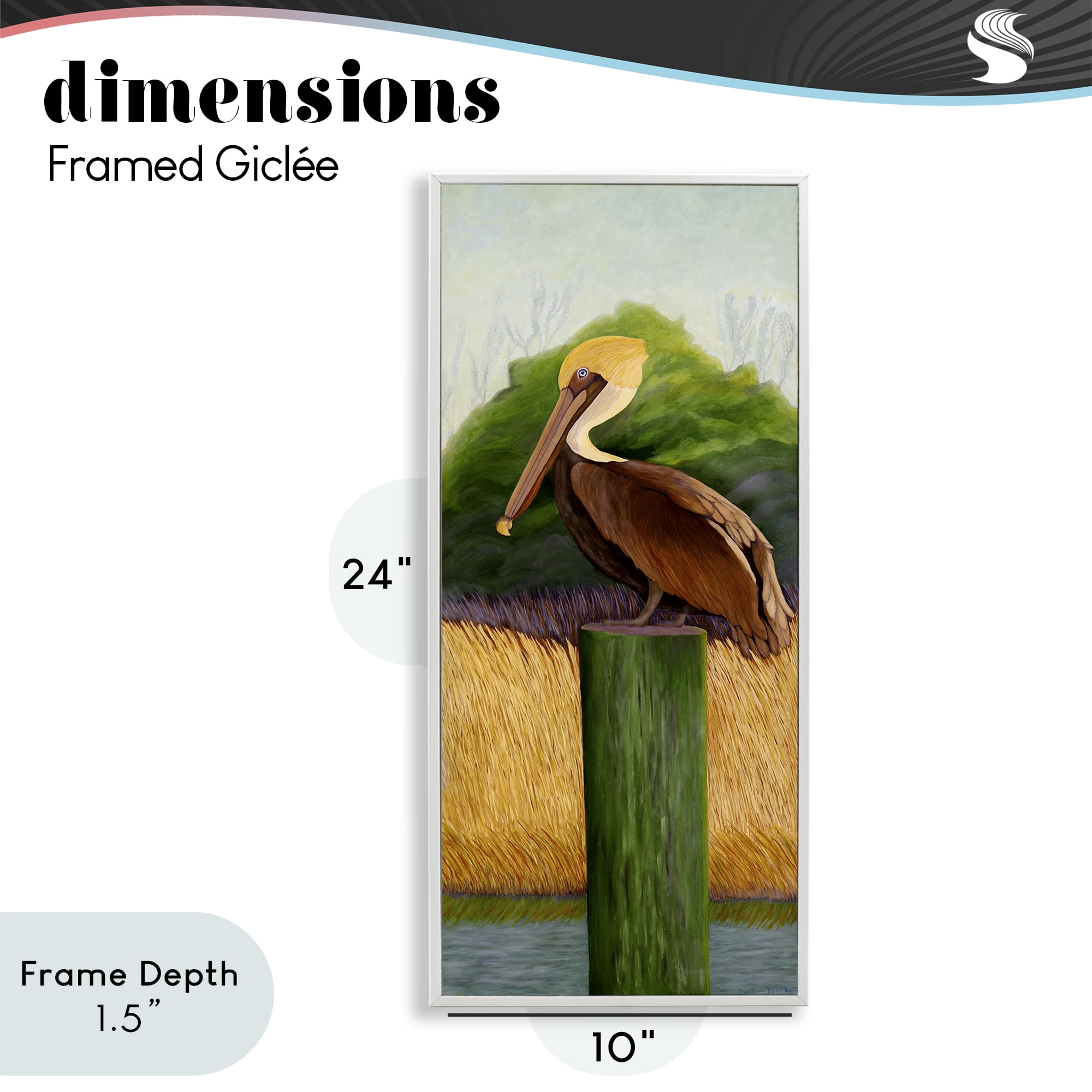 Stupell Industries Perched Blue Eyed Pelican White Framed Giclee Art, design by Barbara Fallenbaum