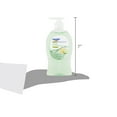 Equate Antibacterial Citrus Liquid Hand Soap, 11.25 fl oz