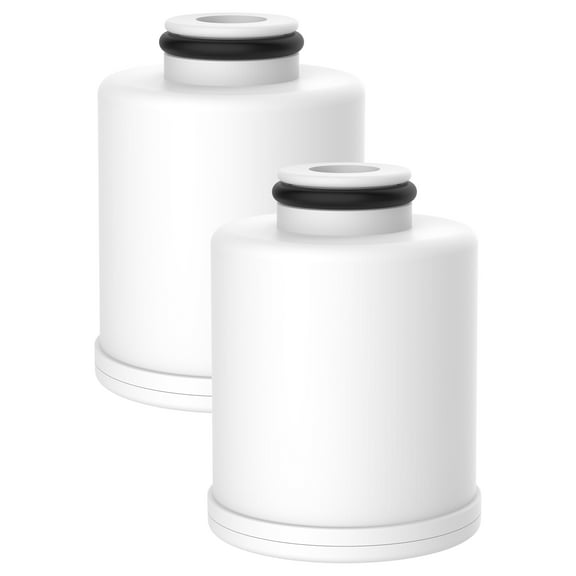 2 Pack AQUACREST FXSCH Shower Water Filter, Replacement For GE® FXSCH, with Advanced KDF Filtration Material