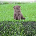 thumbnail image 4 of Alfombrillas de Clavos para Gatos de 20 Piezas - Almohadilla de Clavos para Disuasión Segura para Mascotas Flexible Antiexcavación para Jardín Al Aire Libre 49cmX13cm, 4 of 6
