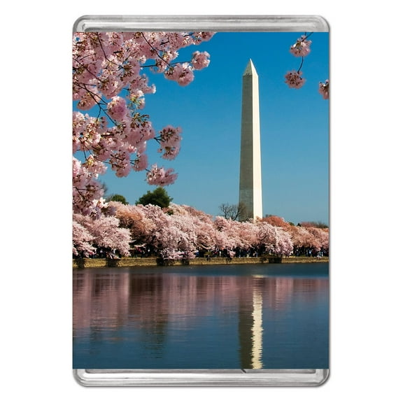 Washington Monument, a 140-piece MiniPix Puzzle by Pigment & Hue