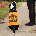 thumbnail image 5 of Vibrant Life Halloween Dog Clothes, Orange Trick or Treat Hoodie for Dogs or Cats, Small, 5 of 5