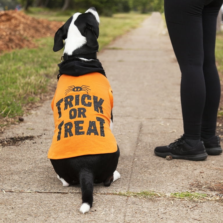 Walmart halloween dog outlet leggings