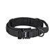 thumbnail image 1 of Collar Y Cuerda Para Perros Talla Extragrande Belug Negro, 1 of 5