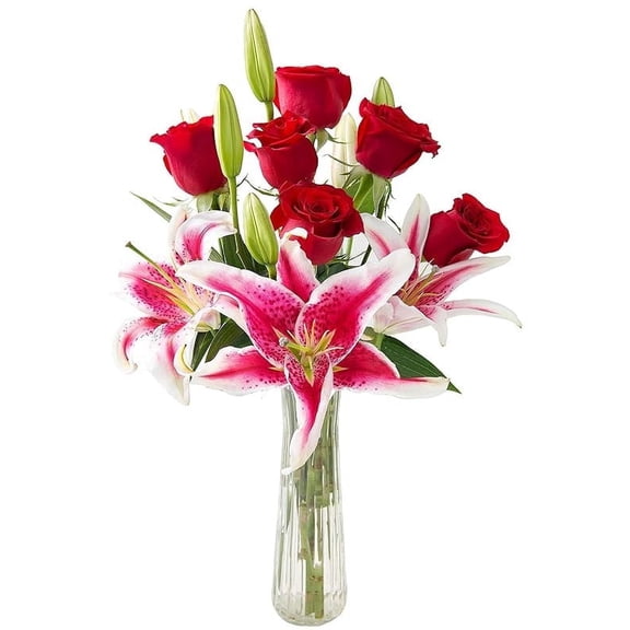 KaBloom : 6 Red Roses, 3 Stargazer Lilies, 6 Greens with vase Next-Day Delivery.