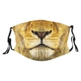 thumbnail image 1 of Visage d'Animal Drôle Réutilisable Lavable avec Motifs de Tigre Chat Chien Singe Cochon pour Enfants et Adultes, 1 of 5
