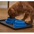 thumbnail image 2 of PetLike 2 Pack No Spill Pet Bowls. Moat Design Non-Skid Food & Water Bowls for Cats, Puppies, Small & Medium Dogs (Blue), 2 of 6