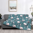 thumbnail image 2 of Fotbe Flamingo Manta de Franela con Estampado, Manta Ultrasuave para Cama, Sofá, Auto, Hipoalergénica y Antibolitas-40"x30", 2 of 6