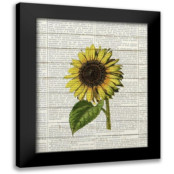 Bailey, Ann 12x14 Black Modern Framed Museum Art Print Titled - Sunflower Print 2