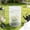White, variant on Pop Up Plant Protection Mesh Cover Garden Netting Cage for Vegetables Flowers Seedlings Foldable Bird Barrier with Ground Pegs Breathable Plant Protector for Patio Balcony Raised Beds