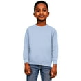 thumbnail image 1 of Casual Classics Chandail Molletonné en Mélange de Coton Ringspun pour Garçons/filles, 1 of 3