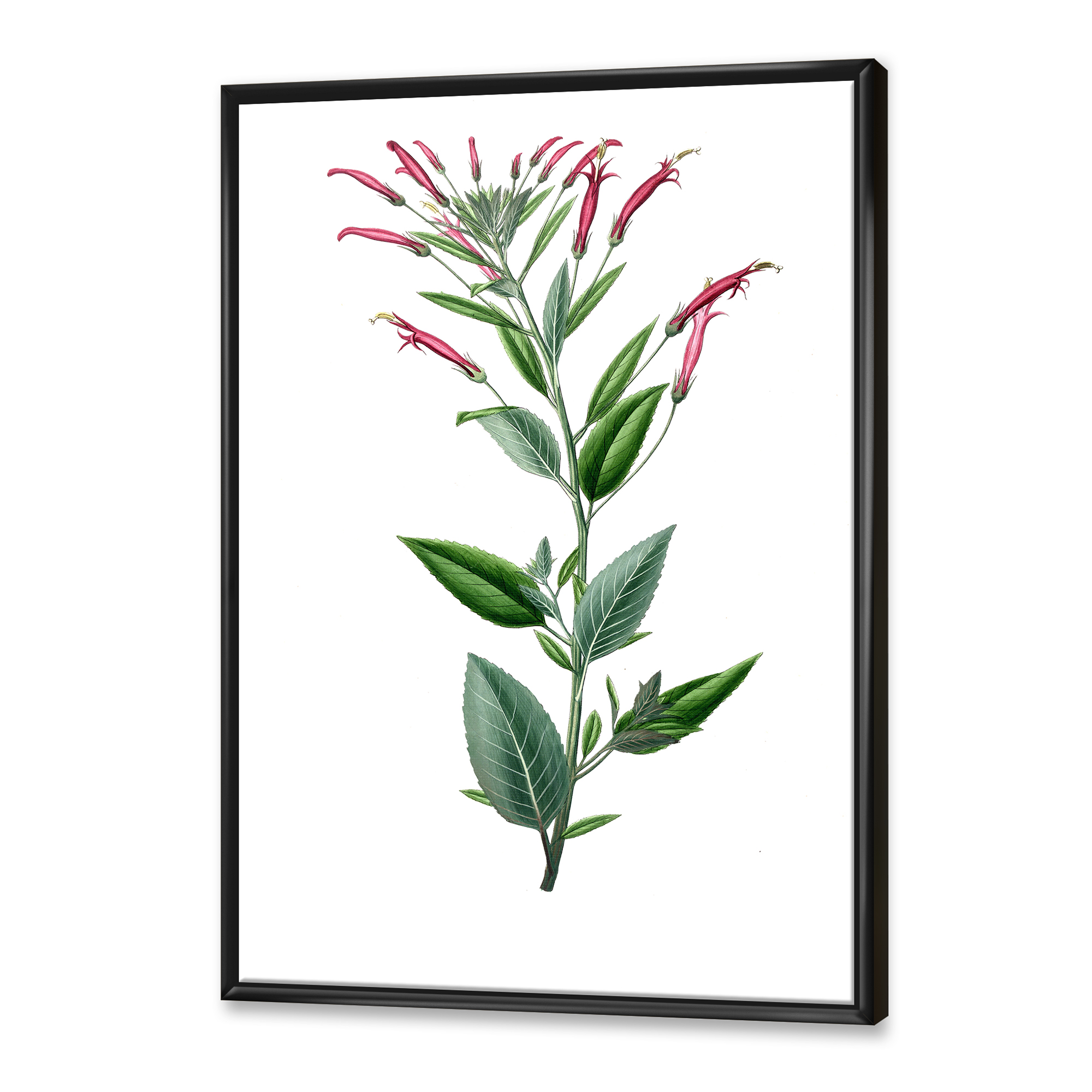 Designart 'Ancient American Flora III' Traditional Framed Canvas Wall Art Print