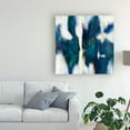 thumbnail image 3 of Trademark Fine Art 'Blue Texture I' Canvas Art by Danhui Nai, 3 of 4