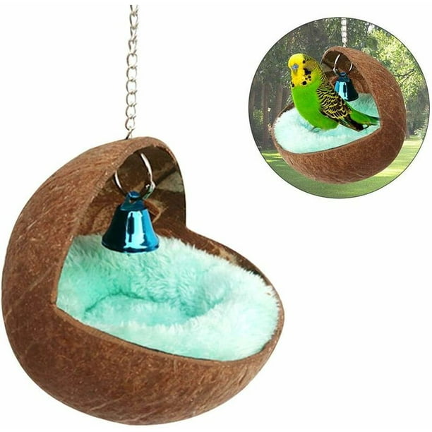 Coconut Shell Hanging Birds Nest » Green Space Holdings