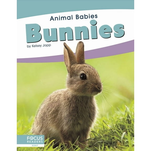 Bunnies (Paperback)