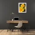 thumbnail image 3 of Nourock, Jonathan 25x32 White Modern Wood Framed Museum Art Print Titled - California Poppy I, 3 of 4