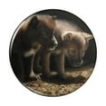 thumbnail image 1 of Curious Wolf Pups Wolves Pinback Button Pin, 1 of 5