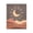 Desert Moon Dunes Sunset, variant on Stupell Industries Southwestern Black Floating Frame Canvas Art, 17 x 21, by Nataly White