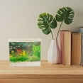 thumbnail image 3 of VERDANVERSE Acuario Pequeño Multifuncional Transparente Para Betta Ideal Para Y Ambiente, 3 of 8