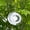 1, variant on Round Reflective 3D Wind Spinner Bird Deterrent, Hanging Mirror Bird Repellent Discs to Scare Pigeons Woodpeckers for Yard Orchard Patio Outdoor Decor