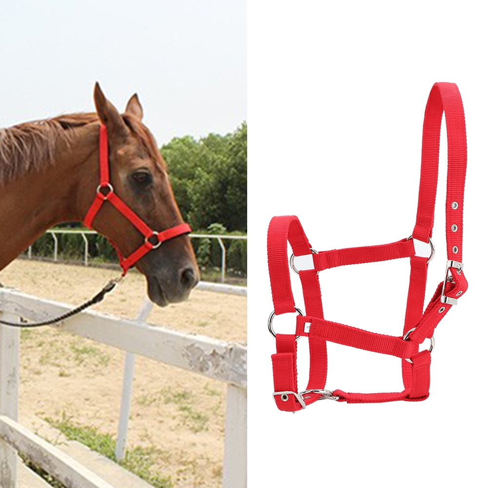 Licou Réglable Pour Poulain Et Cheval - PP Double Couche 6mm - Rouge Vif - Équitation, Contrôle Du Bétail
