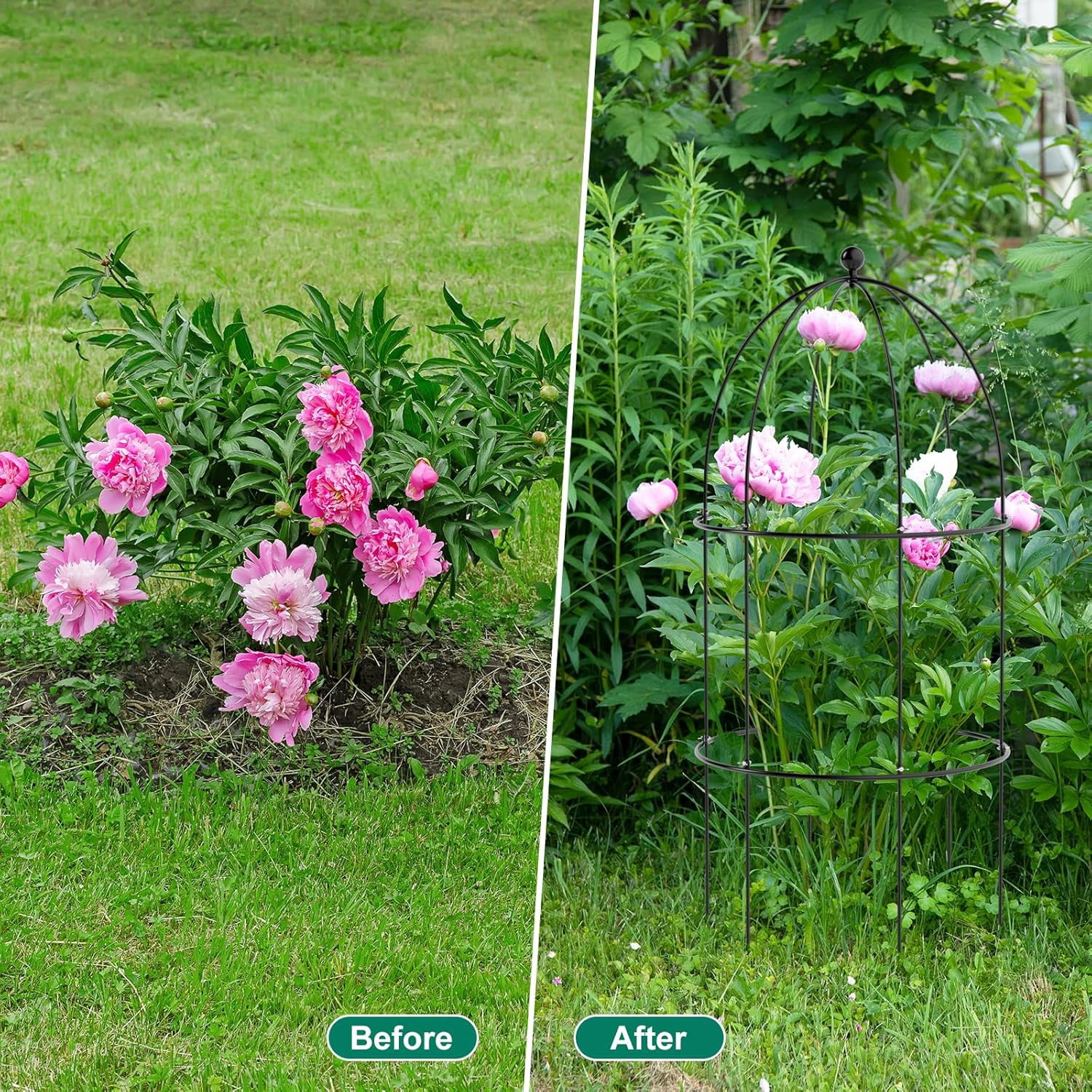 ABORON 3 Pack Garden Trellis for Climbing Plants, 15.7" x 31.5" Metal Rustproof Tomato Cage, Outdoor Indoor Flowers Potted Obelisk Trellis for Cucumber Vine Peony Lily Rose Plant Support