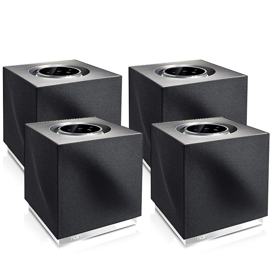 naim portable speaker