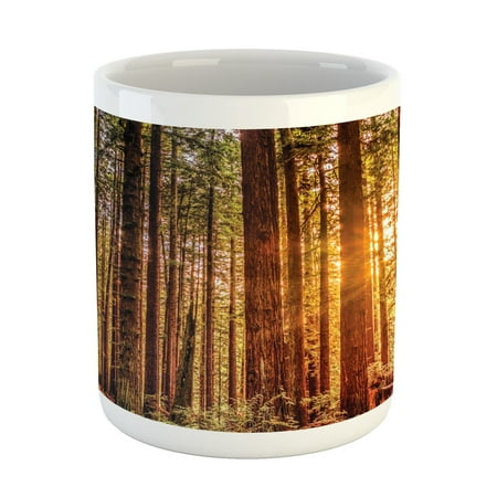 

United States Mug Tall Trees Red Woods Forest Humboldt California Sequoia Picture Ceramic Coffee Mug Cup for Water Tea Drinks Brown Orange 11oz