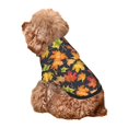 thumbnail image 5 of Fotbe Colorful Maple Leaves Print Small Dog Sweater Hoodies Pet Grey Hooded Soft Fleece Sweatshirts with Pocket Fall Winter Puppy Cat Sweaters Warm Clothes-XX-Large, 5 of 7