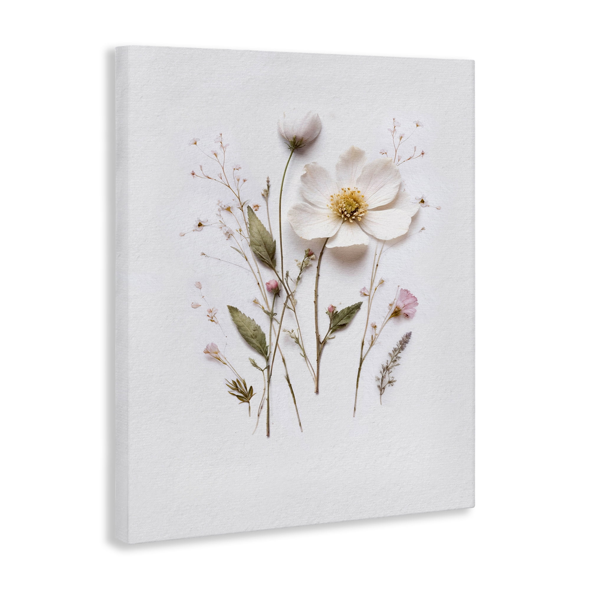 Delicate Pressed Flower Sprigs Canvas Wall Art, design by Lettered and Lined