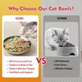 thumbnail image 6 of Ceramic Cat Bowls - Porcelain Cat Food Dish - Shallow Flat Cat Dish - Set of 6, 6 of 8