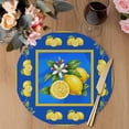 thumbnail image 3 of Yellow Lemons Round 13 Inch Placemats Set of 8, Summer Botanical Blue Modern Art HeatResistant Non Slip Place Mats for Dining Table, Wipeable Braided Kitchen Table Mats for Housewarming, 3 of 9