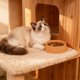 thumbnail image 4 of RKSTN Cat Bowls Round Plastic Pet Bowl, Plastic Pet Eating Bowl, Easy to Clean Cat Dog Eating Bowl Orange, 4 of 6