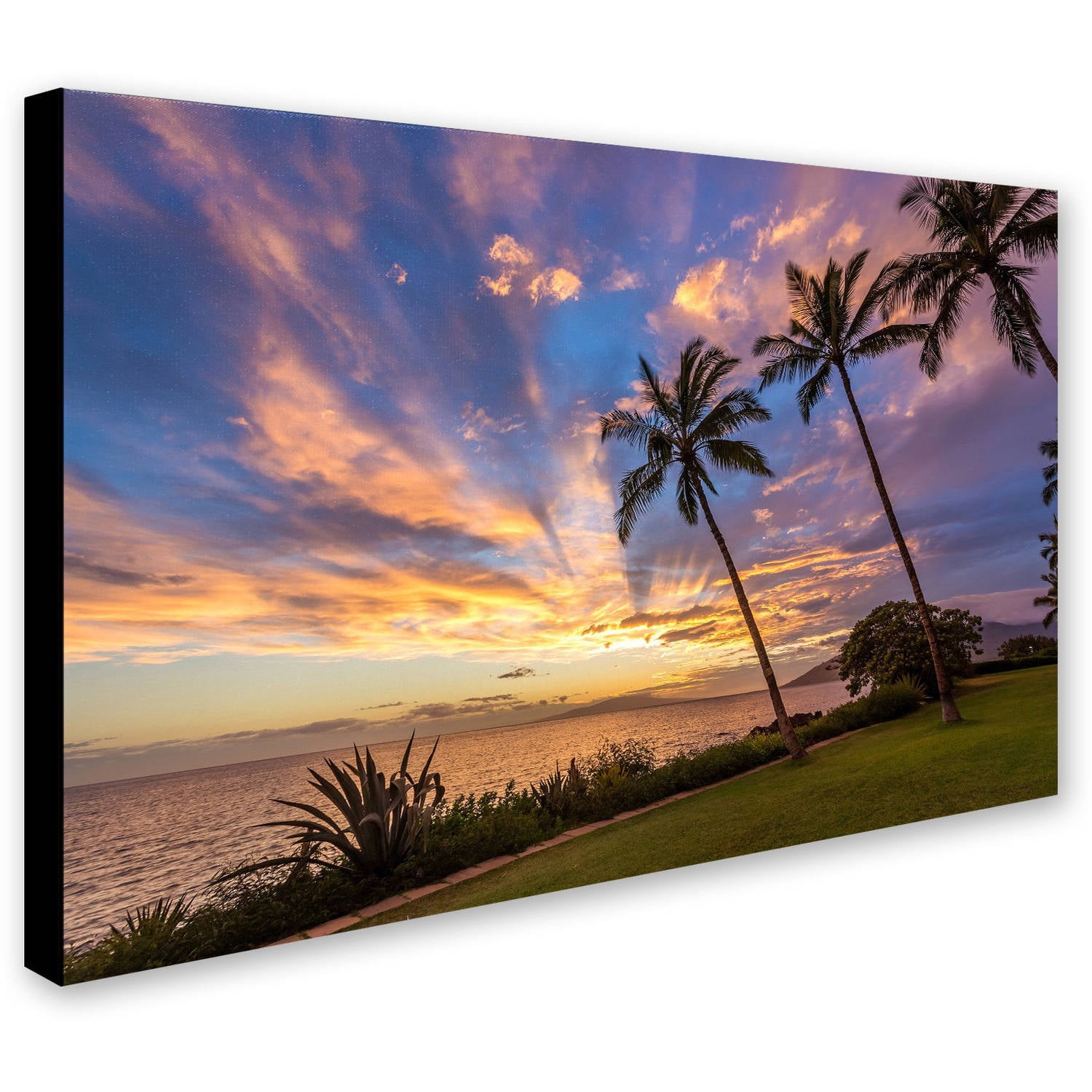 Trademark Fine Art 'Magical Hawaiian Sky' Canvas Art by Pierre Leclerc