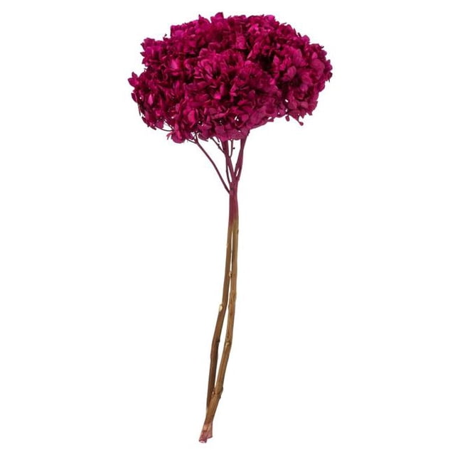 Vickerman H1HYD450 15-18 in. Merlot Hydrangea Stems