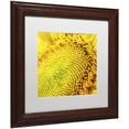 thumbnail image 2 of Trademark Fine Art "Glistening Sunflower Nectar" Canvas Art by Kurt Shaffer, White Matte, Wood Frame, 2 of 4