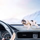 thumbnail image 1 of Escultura de resina para perro de coche | Figura realista de perro social tallada a mano con ventosa fuerte | Decoración duradera para el interior del coche, ideal para salpicadero o vitrina., 1 of 5