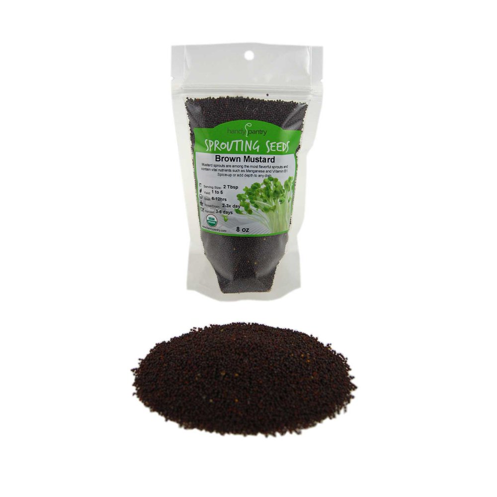 Organic Brown Mustard Sprouting Seeds 8 Oz Hot Mustard Seed For Spices, Sprouts, Microgreens