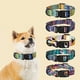 thumbnail image 5 of Collar para perro FloreceBien Pattern, adecuado para perros pequeños y medianos, collar tejido de lujo, adecuado para perros, 5 of 5