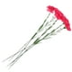 thumbnail image 4 of KAKOWELY claveles artificiales para decoración del hogar, fiestas y bodas., 4 of 4
