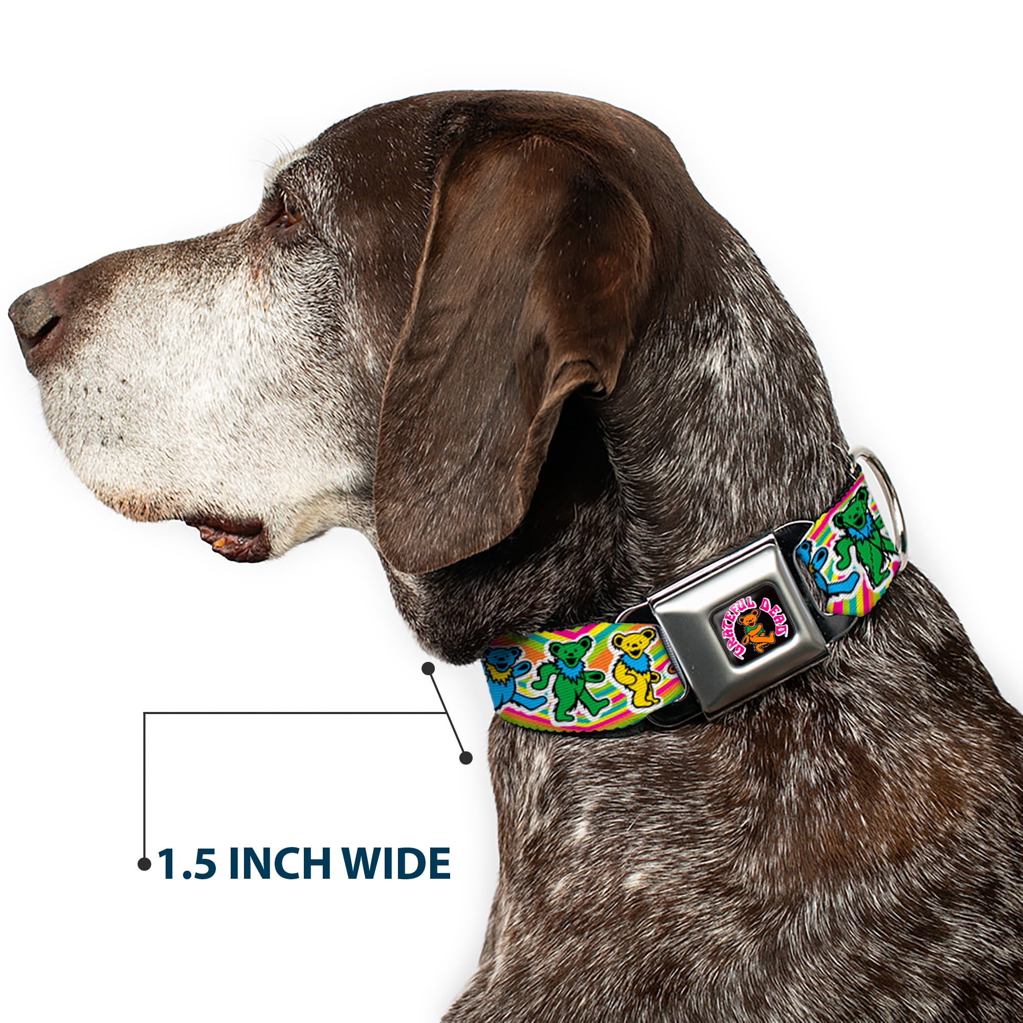 Grateful Dead Pet Collar, Dog Collar Metal Seatbelt Buckle, Grateful Dead Dancing Bears Swirl Multi Color, 15 to 24 Inches 1.0 Inch Wide