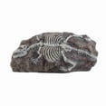 thumbnail image 2 of Decoración Fósil De Dinosaurio Reptil, Adorno Fósil De Dinosaurio De Acuario De Resina Simulación Respetuosa Con El Medio Ambiente Vívido Robusto Hermoso Para El Entorno De, 2 of 7