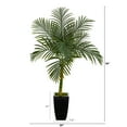 thumbnail image 3 of Nearly Natural 4.5' Golden Cane Artificial Palm Tree in Black Metal Planter, 3 of 5