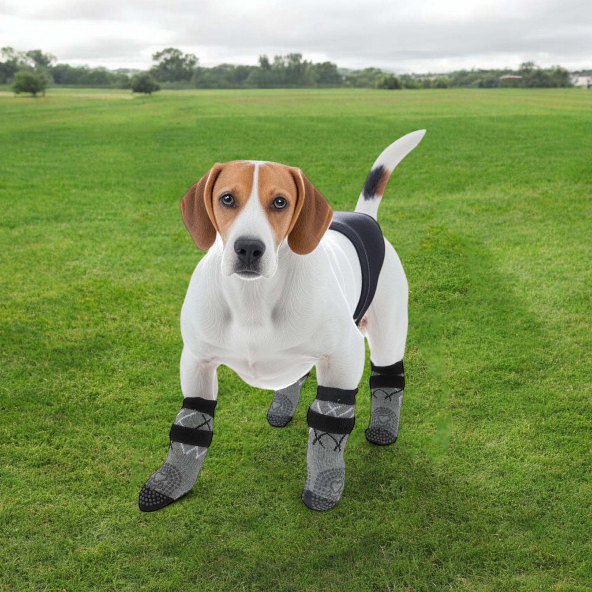 Unique Bargains 4Pcs Non-Slip Dog Socks with Adjustable Tapes Gray L