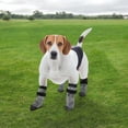 thumbnail image 7 of Unique Bargains 4Pcs Non-Slip Dog Socks with Adjustable Tapes Gray L, 7 of 7