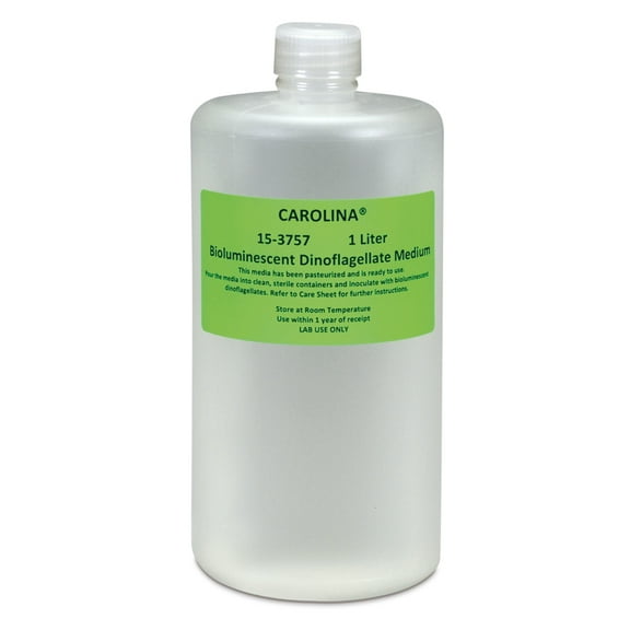 Carolina Bioluminescent Dinoflagellate Medium, 1 L