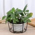 thumbnail image 3 of 4Pcs Hanging Railing Planters Flower Pot Holders Plant Iron Racks Fence Metal Potted Stand Mounted Balcony Baskets Small, 3 of 7