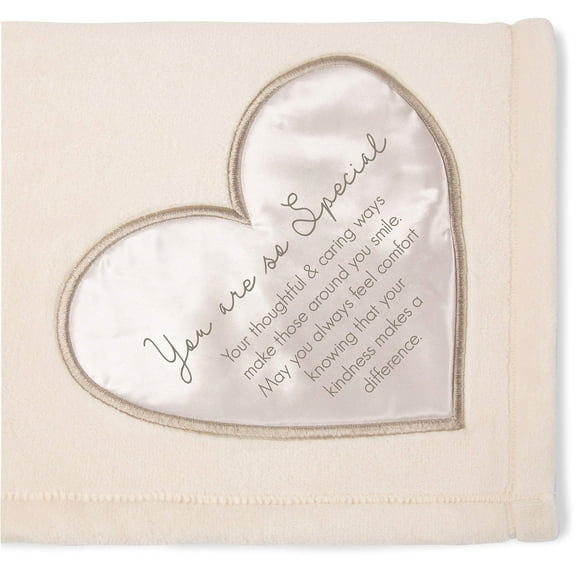 Pavilion Gift Company 19500 Comfort Special Thick Warm 320 GSM Royal Plush Throw Blanket