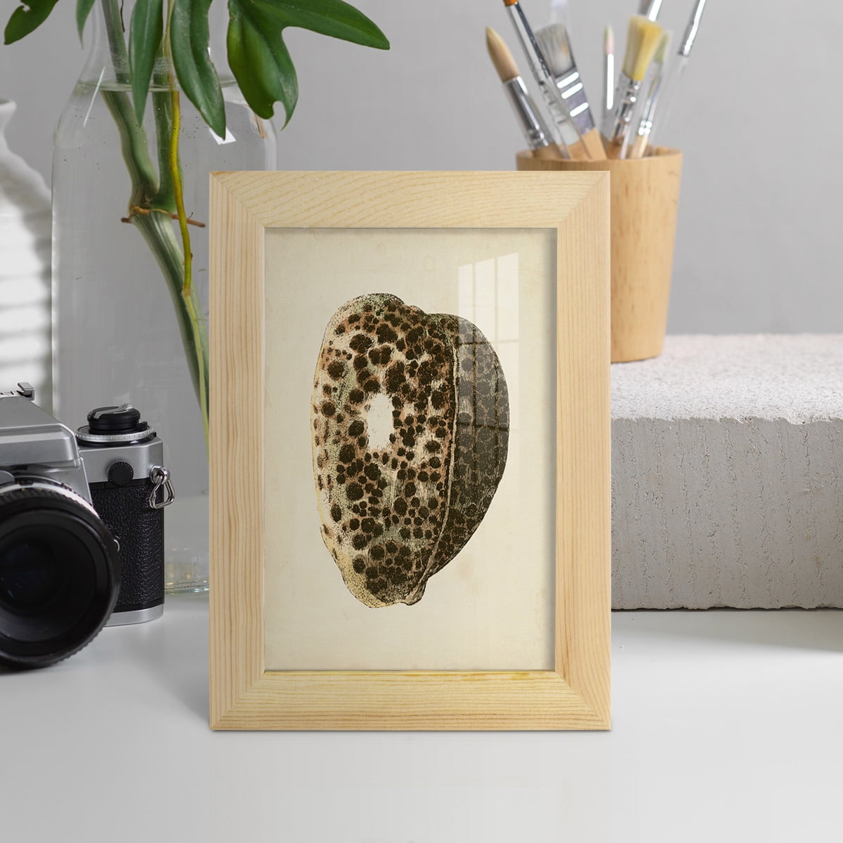 Sealife Collection III - Framed Print w/glass - Natural Wood